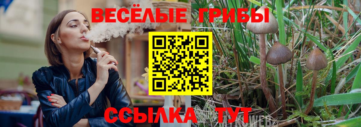 Псилоцибиновые грибы Magic Shrooms Усть-Джегута