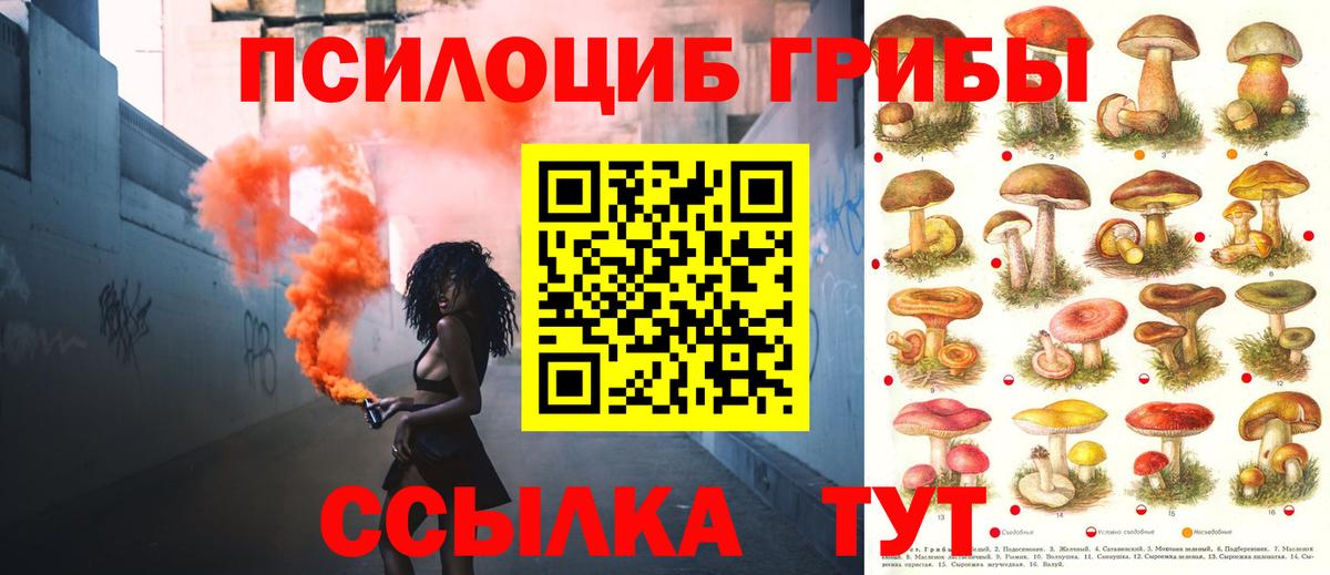 Псилоцибиновые грибы прущие грибы  Галлюциногенные грибы Psilocybe  Вход с VPN  Усть-Джегута 
